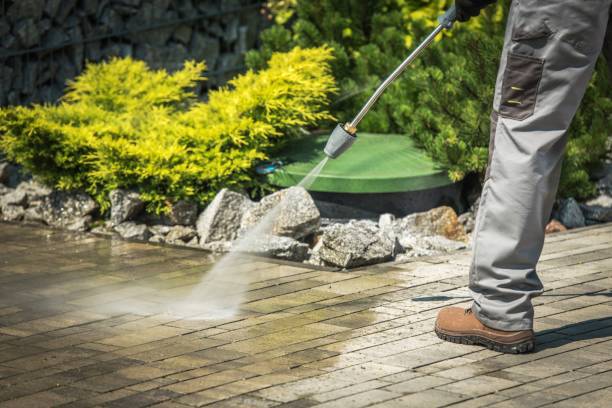 Best Oil Spill Cleanup  in Guerneville, CA