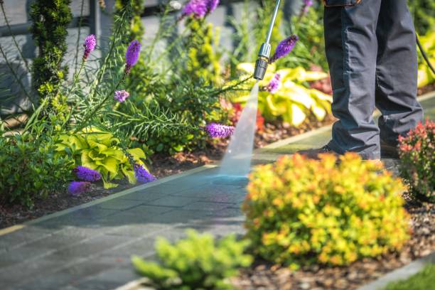 Best Patio and Deck Pressure Washing  in Guerneville, CA